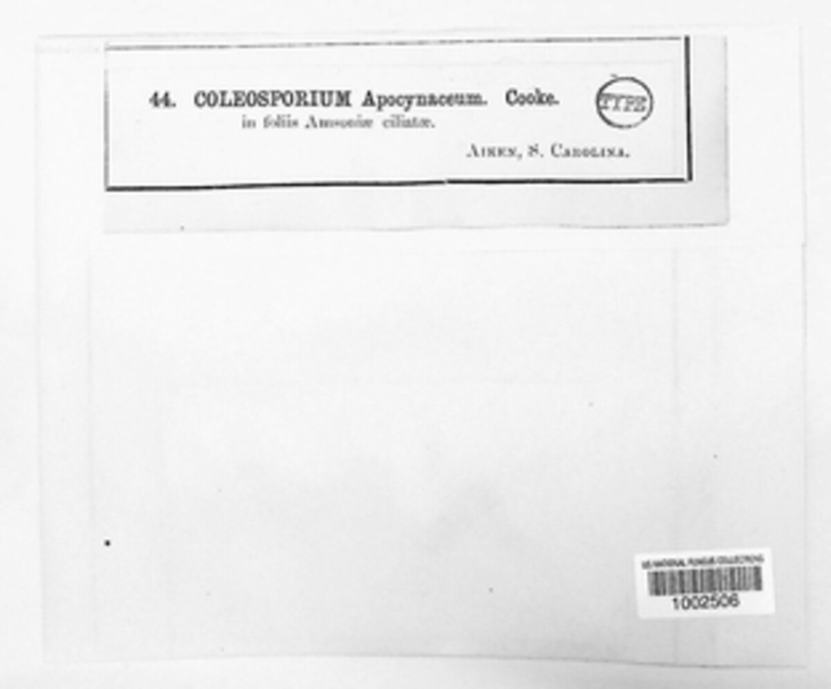 Peridermium apocynaceum image